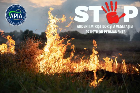 Arderea miriștilor este interzisă prin lege